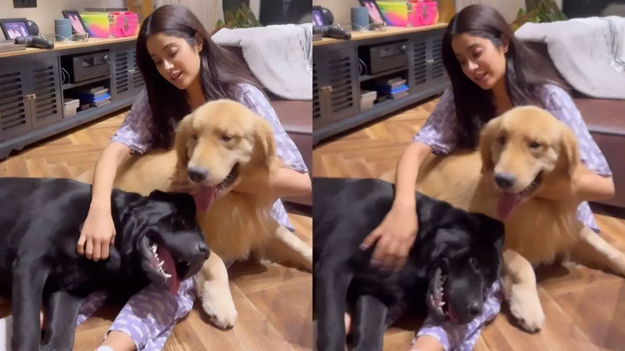here find out janhvi kapoors pyaar in an adorable video